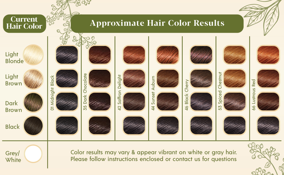 silk-&-stone-herbal-henna-hair-color-result-chart.jpg