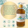 100% Pure and Natural Brahmi (bacopa monneiri) Hair Oil
